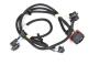 Image of Tail Light Wiring Harness image for your 2008 Chevrolet Silverado 1500 LTZ Crew Cab Pickup Fleetside 5.3L Vortec V8 FLEX A/T 4WD 