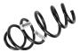 Image of Coil Spring (Front) image for your 2018 Chevrolet Equinox 1.6L DIESEL A/T 4WD LT Sport Utility 