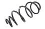 20901081 Coil Spring (Front)