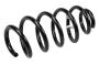 Coil Spring (Front)