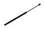 Image of Hood Lift Support image for your 2023 Chevrolet Camaro 3.6L V6 A/T LT Coupe 