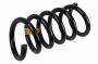 22808431 Coil Spring (Rear)