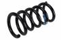 Coil Spring (Rear)