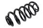 Coil Spring (Rear)