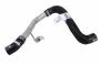 22922981 Radiator Coolant Hose (Upper, Lower)