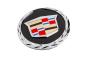 22985035 Grille Emblem