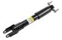 Image of Suspension Shock Absorber image for your 2011 GMC Sierra 2500 HD  WT Extended Cab Pickup Fleetside 