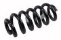 23104463 Coil Spring (Rear)