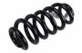 Coil Spring (Rear)