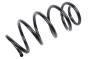 Image of Coil Spring (Front) image for your 1997 Buick Century   