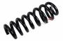 Image of Coil Spring (Rear) image for your 2020 Chevrolet Camaro 6.2L V8 A/T ZL1 Convertible 