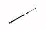 23137745 Liftgate Lift Support