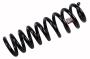 Image of Coil Spring (Rear) image for your 2021 Chevrolet Camaro 6.2L V8 M/T LT1 Convertible 