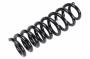 23153926 Coil Spring (Rear)