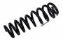 23153930 Coil Spring (Rear)