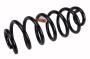 Coil Spring (Rear)