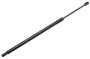 23283648 Liftgate Lift Support