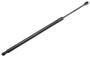 23283649 Liftgate Lift Support