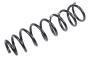 23290918 Coil Spring (Rear)