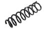 Coil Spring (Rear)