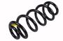 23295634 Coil Spring (Rear)