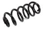 Coil Spring (Rear)