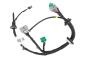 Tailgate Wiring Harness