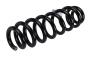 23334611 Coil Spring (Rear)