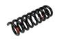 Coil Spring (Rear)