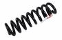 23341854 Coil Spring (Rear)