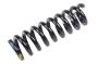 23341859 Coil Spring (Rear)