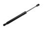 Image of Liftgate Lift Support image for your 2001 Chevrolet Blazer LT Sport Utility 4.3L Vortec V6 A/T 4WD 