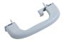 23438711 Interior Grab Bar