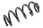 23476250 Coil Spring (Rear)