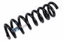 23497214 Coil Spring (Rear)