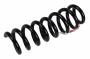 23497215 Coil Spring (Rear)