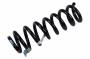 23497216 Coil Spring (Rear)