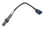 25180901 Oxygen Sensor (Rear, Lower)