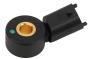 25201064 Ignition Knock (Detonation) Sensor