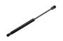 25964299 Trunk Lid Lift Support