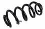 42477247 Coil Spring