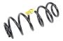 42554165 Coil Spring (Rear)