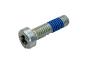 Image of Bolt. Screw M6X22. image for your 2013 GMC Terrain SLT Sport Utility 2.4L Ecotec A/T FWD 