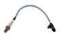 55572993 Oxygen Sensor (Upper)