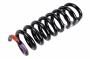 Image of Coil Spring (Rear) image for your 2023 Chevrolet Camaro LT1 Coupe 6.2L V8 A/T 