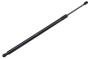 Image of Liftgate Lift Support image for your 2001 Chevrolet Blazer LT Sport Utility 4.3L Vortec V6 A/T 4WD 