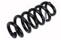 Coil Spring (Rear)