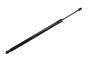 Image of Liftgate Lift Support image for your 2001 Chevrolet Blazer LT Sport Utility 4.3L Vortec V6 A/T 4WD 