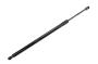 Image of Liftgate Lift Support image for your 2001 Chevrolet Blazer LT Sport Utility 4.3L Vortec V6 A/T 4WD 