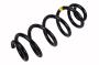 84165206 Coil Spring (Rear)